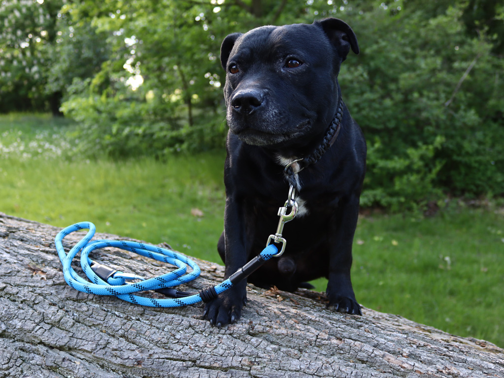 Posuvné vodítko Tamer - všestranné vodítko z horolezeckého lana, které nemusíte držet jen v ruce