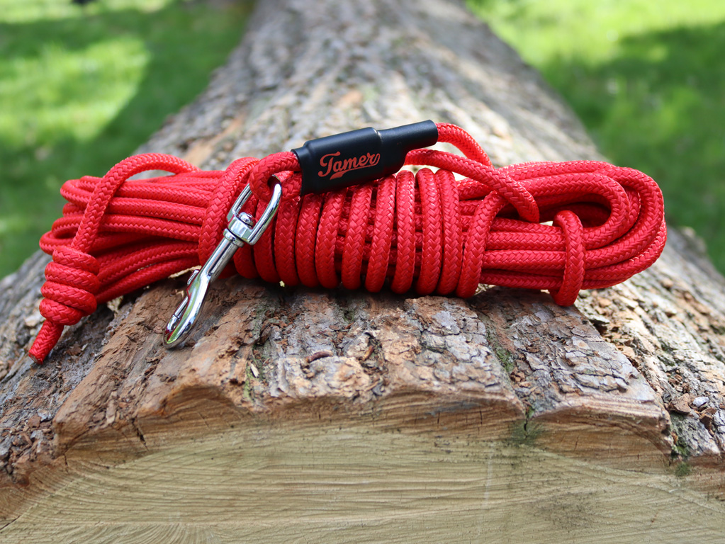 Stopovačka - jak konečně naučit pejska přivolávání