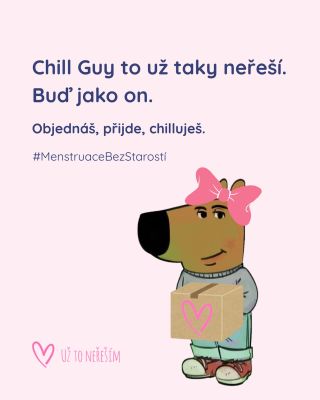 Tenhle Chill Guy už ví, že starosti s menstruací nejsou potřeba. 🎀 Vložky, tampóny, čajíky nebo třeba teplo na břicho?...