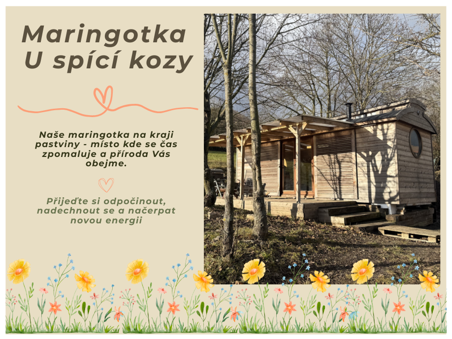 Maringotka u spící kozy