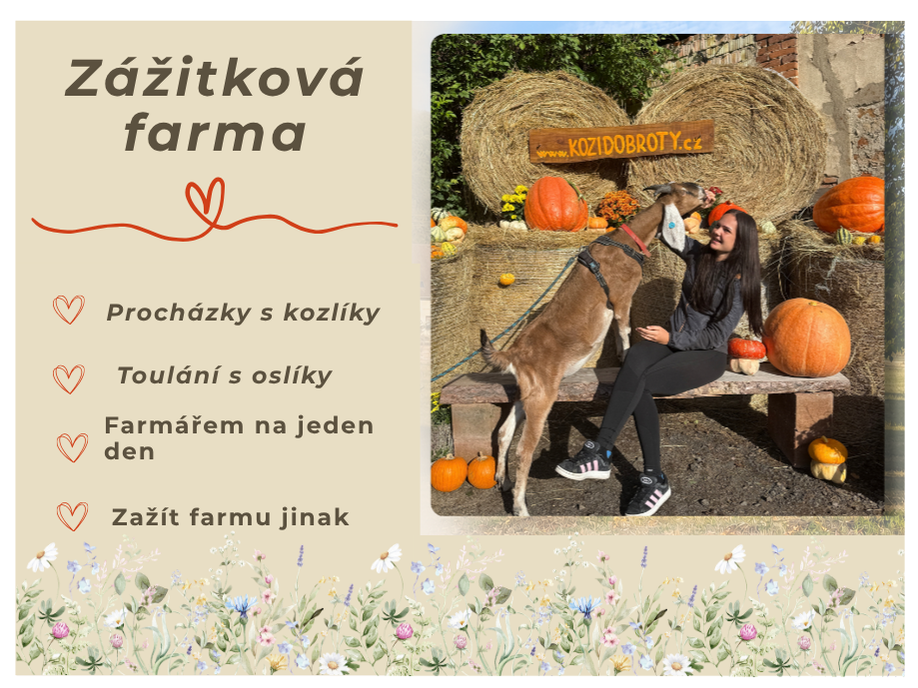 Toulání po Českém středohoří