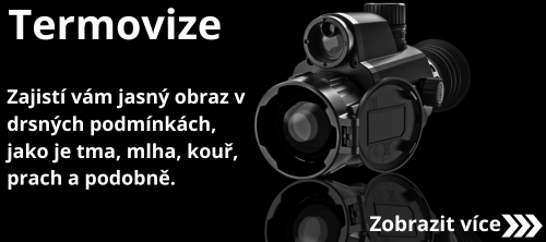 Termovize