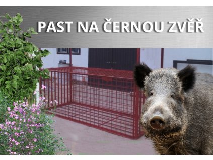 PAST NA ČERNOU ZVĚŘ