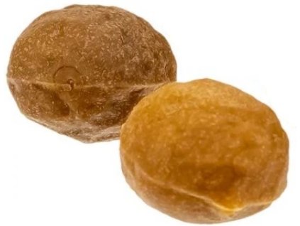 enterprise tackle pop up tiger nut nasluka shop 2 850x850