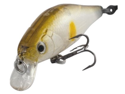 ARHERAK11A 2 removebg preview