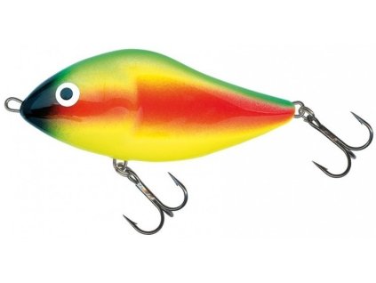 salmo slider 12cm 70g sinking