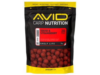 ap a0650064 squidstrawberryboilies 020 studio