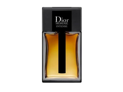 homme intense