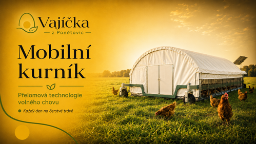 Do kuchyně