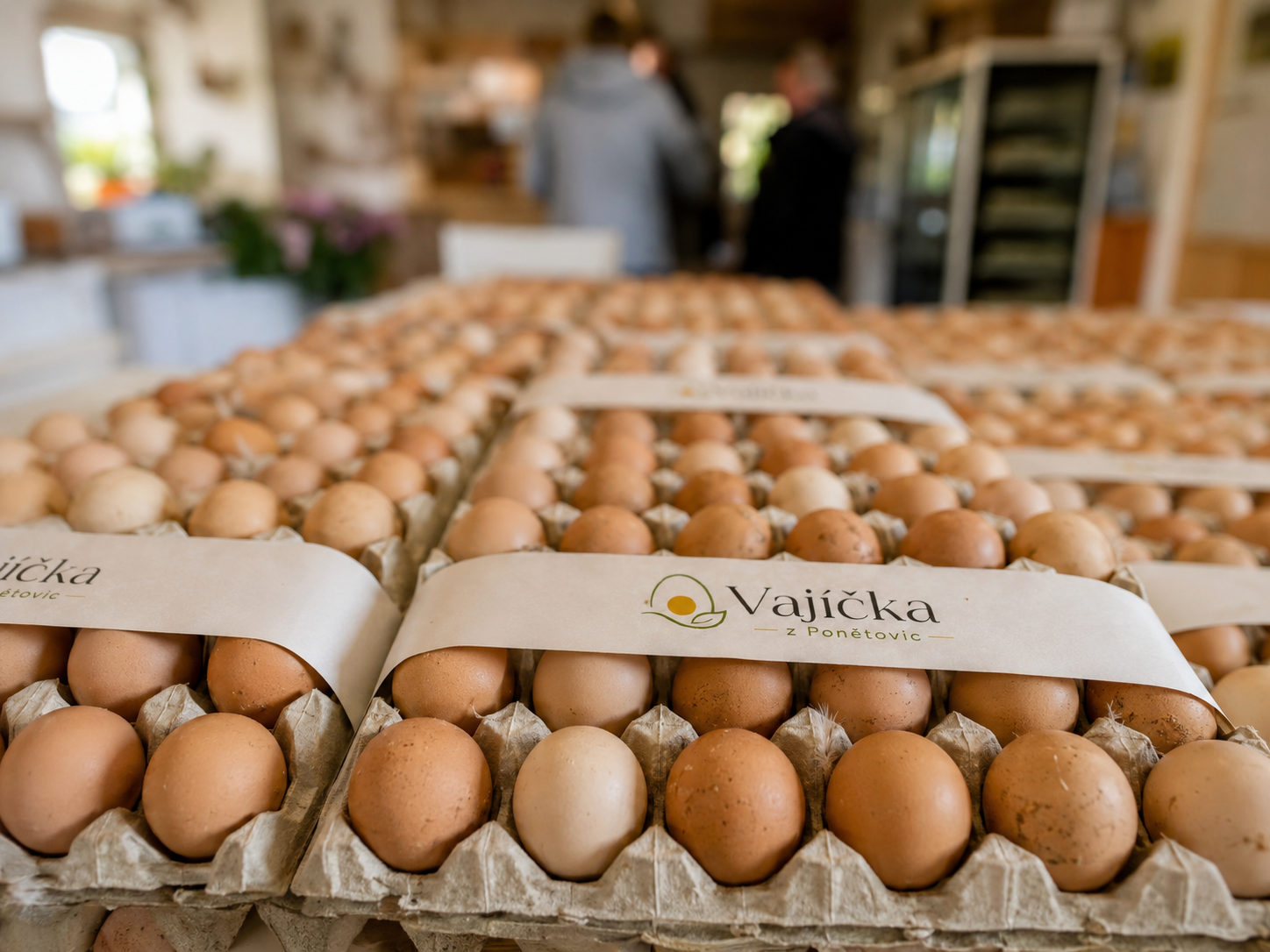 Ilustrační obrázek