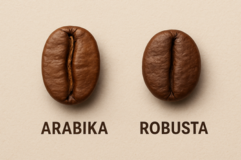 Zrnka arabiky a robusty