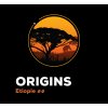 ORIGINS image
