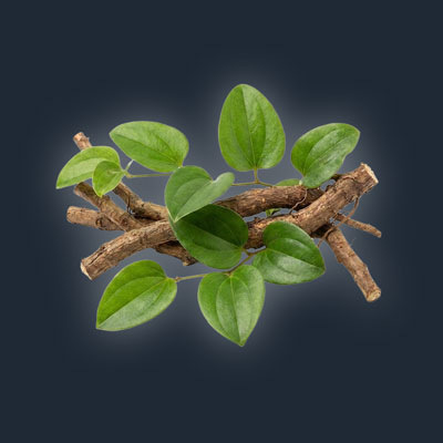 andrimax-120-smilax
