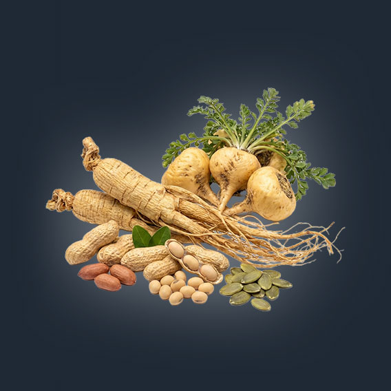 andrimax-erecta-trojkombinace3