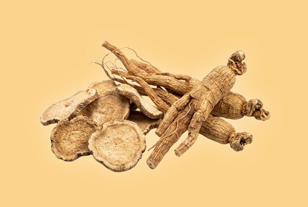 maca-a-zensen-bezova