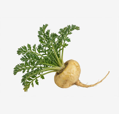maca-peruánská-2
