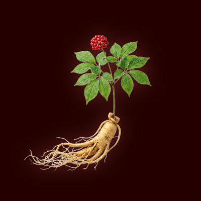 sexup-aphrodisiac-afrodiziakum-pro-mužei-ženy-panax