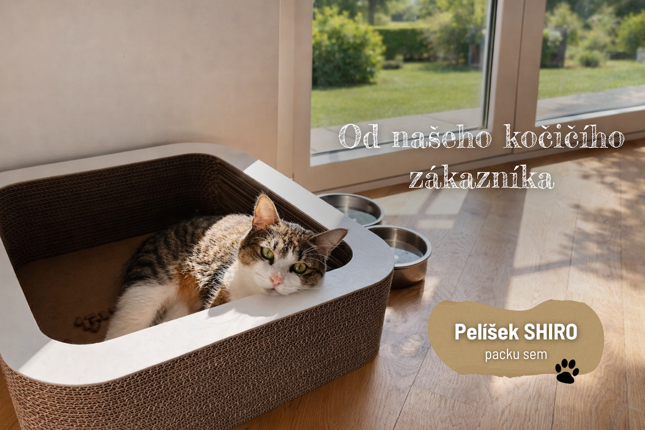 pelíšek shiro
