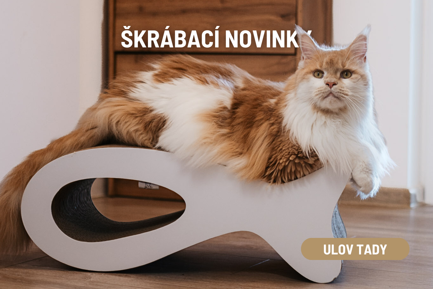 Novinky