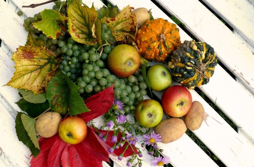 Podzim volá: Nejlepší vitamíny pro sychravé podzimní počasí