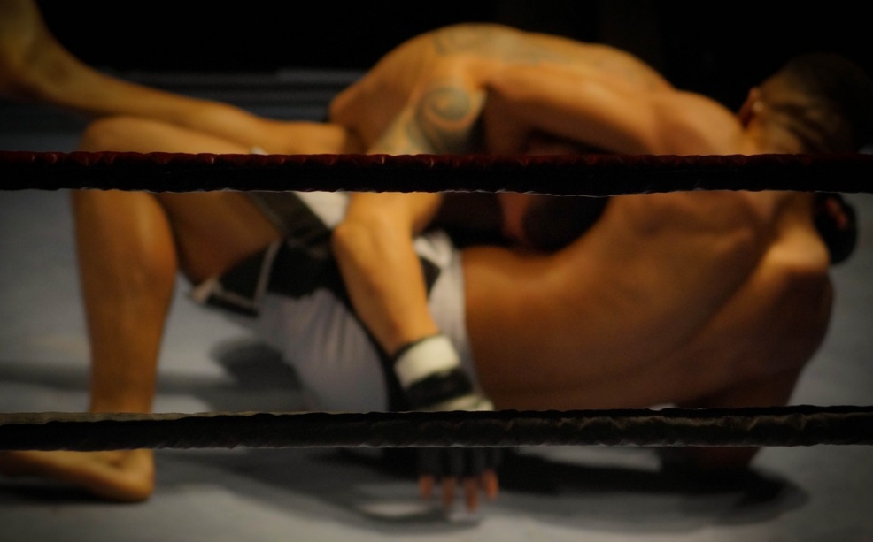 Charakteristiky a techniky v MMA