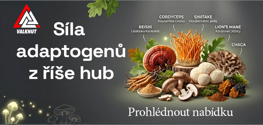 🍄 MOUDROST PŘÍRODY V JEDNÉ KAPSLI