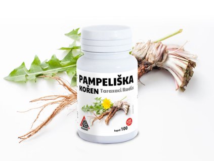 Pampeliska koren 120cps