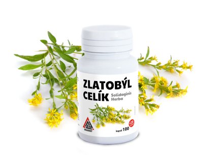 zlatobyl celik 120cps