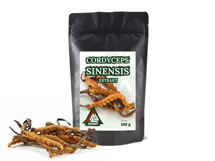 Cordyceps sinensis 500g