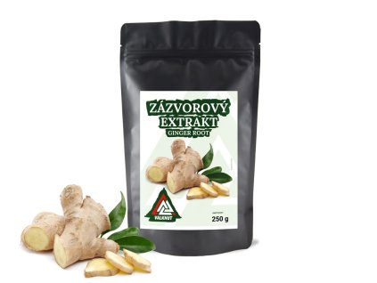 Zazvorovy extrakt 250g