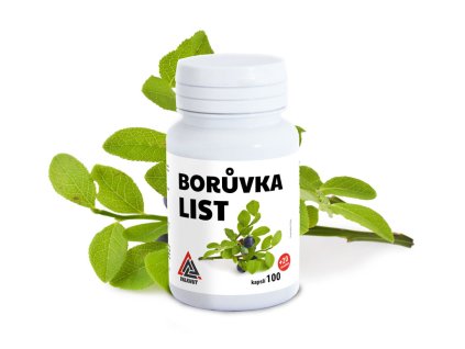 boruvka list 120cps