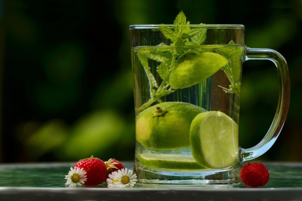 Novoročný detox organizmu