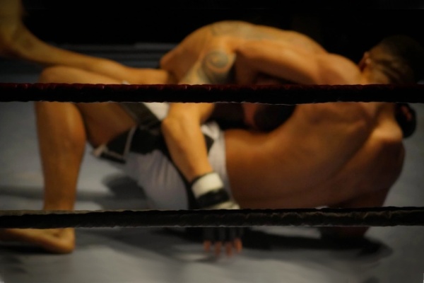 Charakteristiky a techniky v MMA