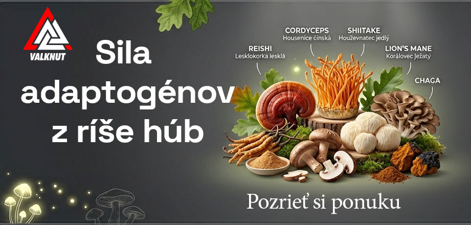 🍄MÚDROSŤ PRÍRODY V JEDNEJ KAPSULE