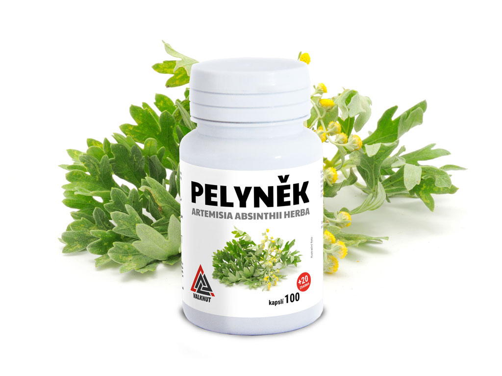 Palina Pravá vňať VALKNUT 100+20 kapsúl zdarma