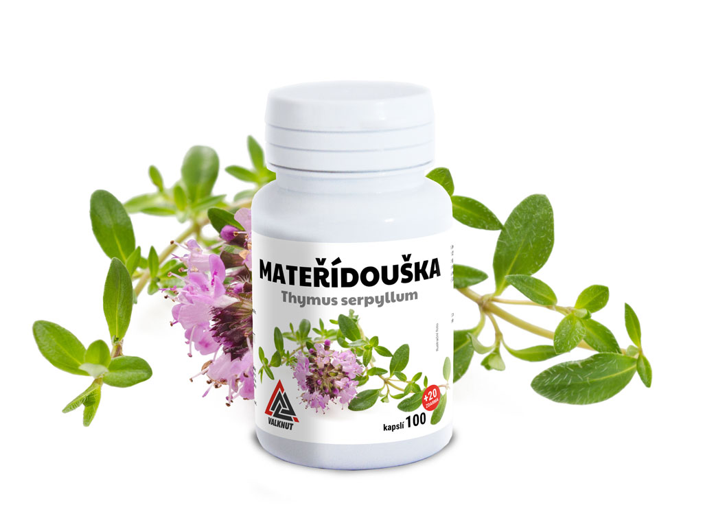 Materina dúška (Thymus Serpyllum) VALKNUT 100+20 kapsúl zdarma