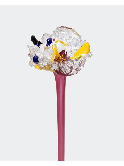 BTNC 13 PNVAR GLOSS2