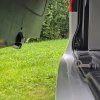 heckklappenhaken mercedes van standard schliessen