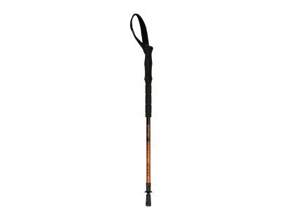 Kesugi walking pole product Low 1