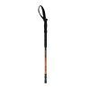 Kesugi walking pole product Low 1