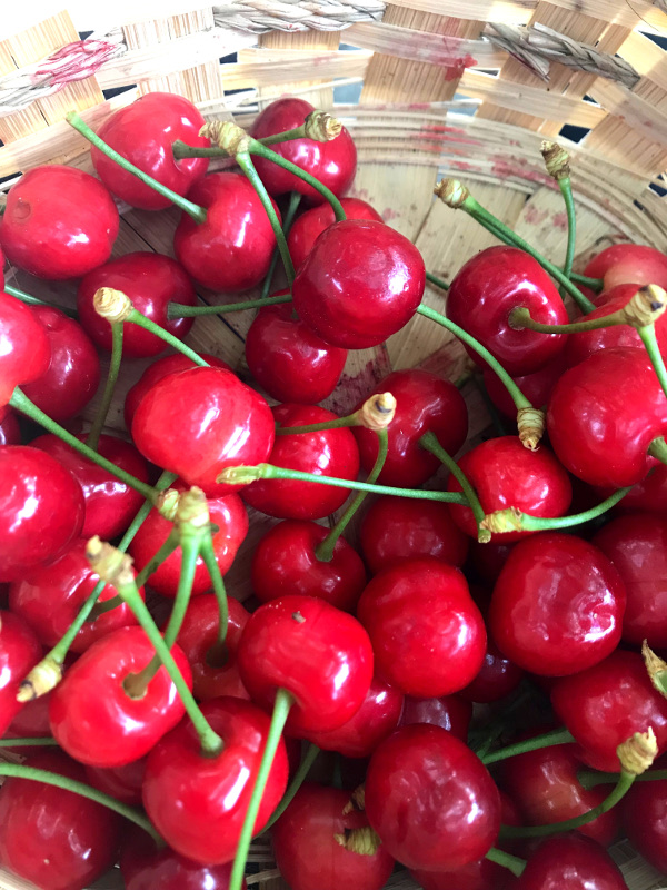 Bublanina s vanilkou a třešněmi