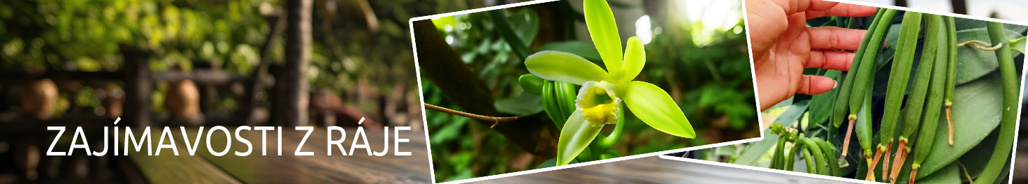 Zajímavosti  o koření z Mauritiu a Madagaskaru