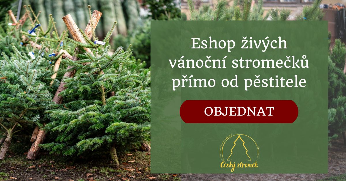 vánoční stromky online