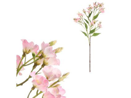 UKZ1003 PINK