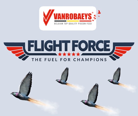 flight_force