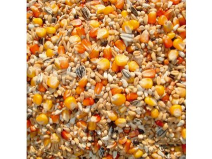 29 - Závodní bez hrachu