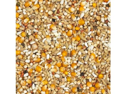 418 - Casaert Depurative - lehká