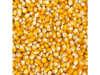 Žlutá kukuřice Cribbs 25kg
