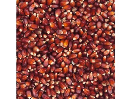 BORDEAUX červená kukuřice 20kg