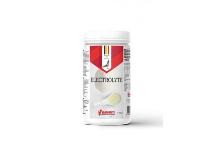 electrolyte mockupa4
